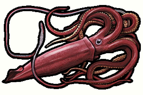 Kraken network